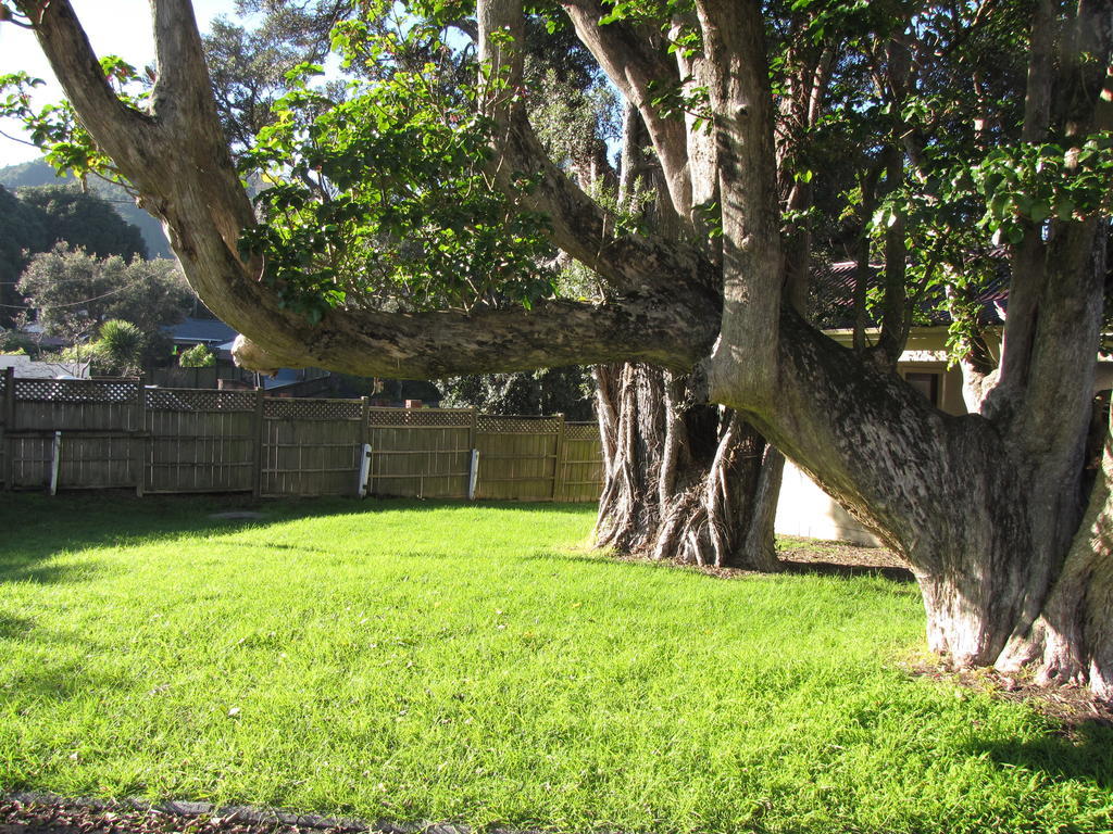 Pembrooke Motor Lodge Whangarei Esterno foto